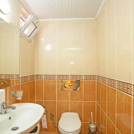 Paradise Town Hazel *