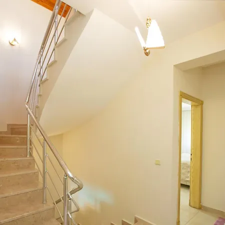 Paradise Town Hazel 베렉