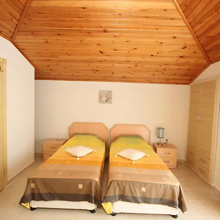 Paradise Town Hazel 베렉