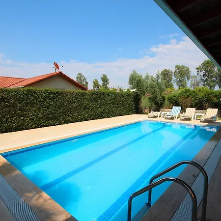 Paradise Town Hazel *