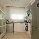 Paradise Town Hazel *