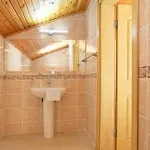 Paradise Town Hazel 베렉