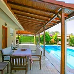 Paradise Town Hazel *