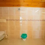 Paradise Town Hazel * 베렉