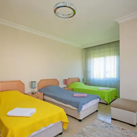 Paradise Town Hazel Willa