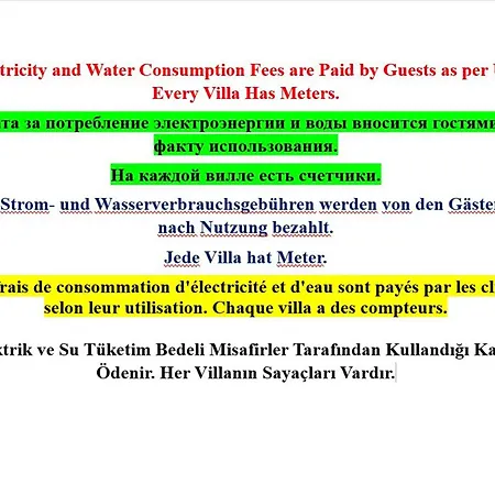 Paradise Town Hazel *