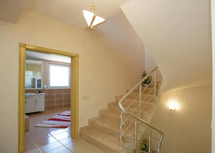 Paradise Town Hazel * 贝莱克