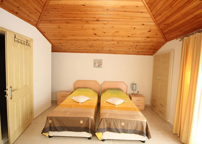 Paradise Town Hazel 贝莱克