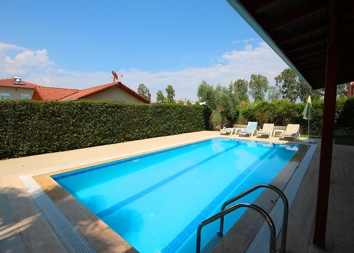 Paradise Town Hazel *