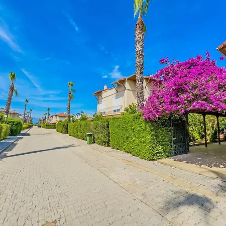 Paradise Town Hazel *